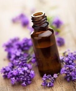 Naturalöl Lavendel